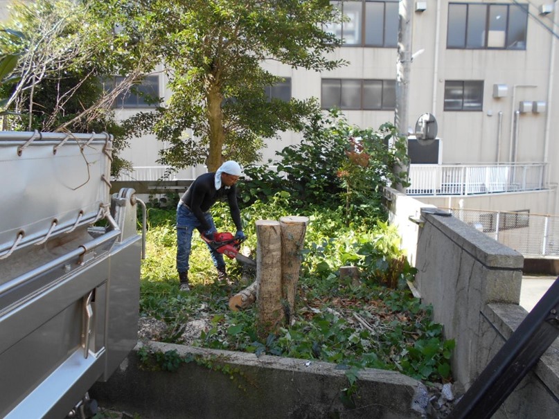 駐車場の奥の木の伐採をします！！